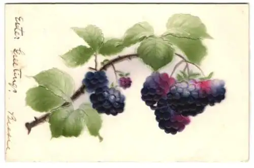 Präge-Airbrush-AK Beeren am Strauch