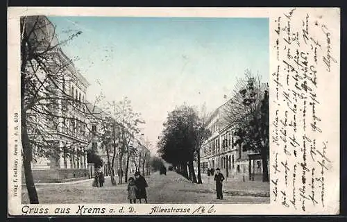 AK Krems a. d. D., Alleestrasse mit Anwohnern