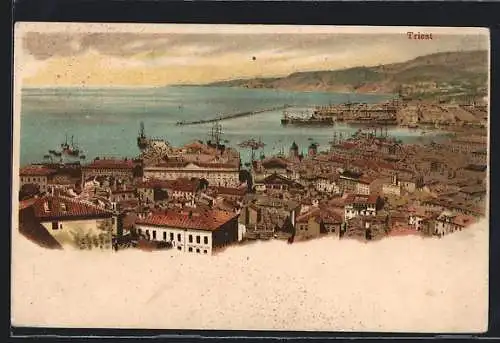 Lithographie Triest, Veduta generale