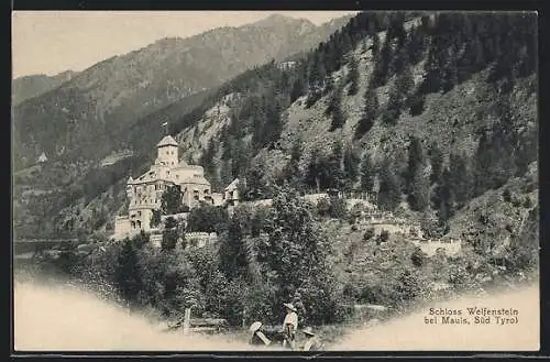 AK Mauls, Blick auf Schloss Welfenstein