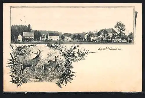 AK Spechtshausen, Blick auf den Ort