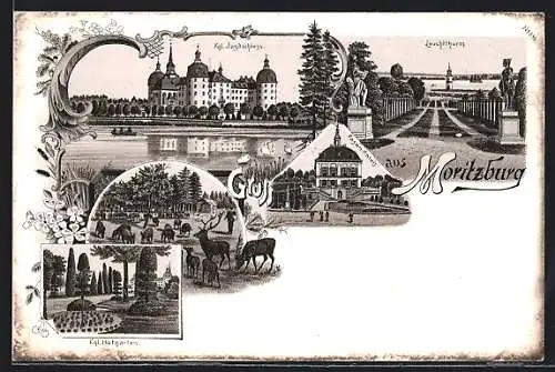 Lithographie Moritzburg / Sachsen, Königliches Jagdschloss, Fasan-Palais, Leuchtturm