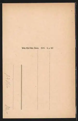 AK Teterow i. Meckl., Blick durch das Rostocker Tor