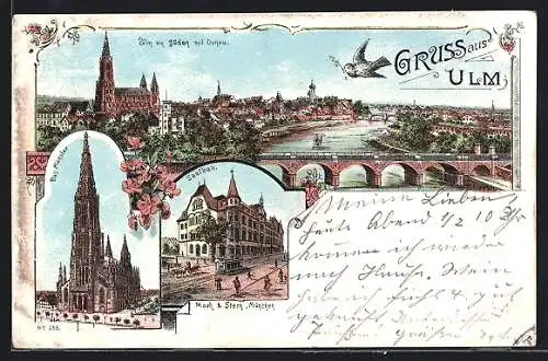 Lithographie Ulm / Donau, Blick von Süden mit Donau, Münster, Saalbau