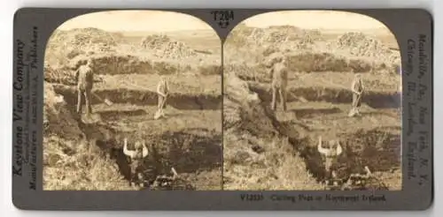 Stereo-Fotografie Keystone View Company, Meadville, Ansicht Ireland, Cutting Peat in Northwest Ireland