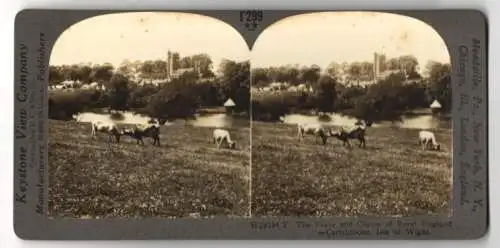Stereo-Fotografie Keystone View Company, Meadville, Ansicht Carisbrooke / Isle of Wight, Peace & Charm of Rural