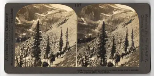Stereo-Fotografie Keystone View Company, Meadville, Ansicht Lincoln Pass / Montana, Glacier National Park