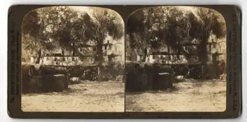 Stereo-Fotografie H.C. White Co., Chicago, Ansicht Ochlawaha River / Florida, Steamboat Landing