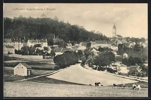 AK Augustusburg i. Erzgeb., Teilansicht mit Kirche und Kühen