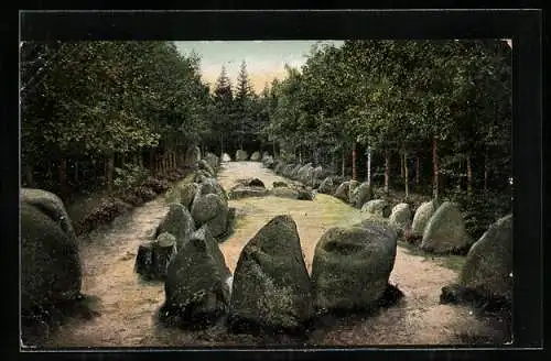 AK Kleckerwald /Lüneburger Heide, Blick auf Hünengrab