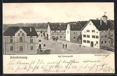 Künstler-AK sign. Hans Pernat: Achselschwang, Kgl. Stammgestüt