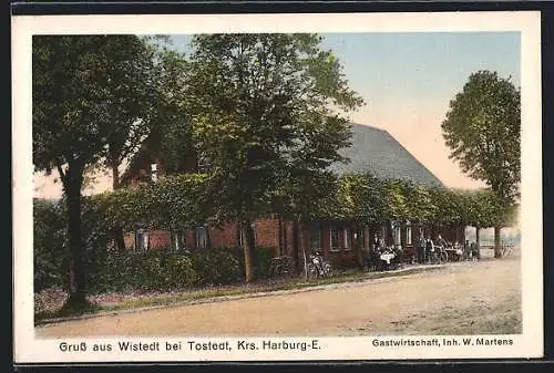 AK Wistedt bei Tostedt /Kr. Harburg, Gasthaus W. Martens mit Strasse
