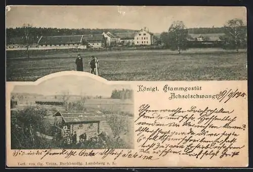 AK Achselschwang, Königl. Stammgestüt, Panorama und Holzhaus