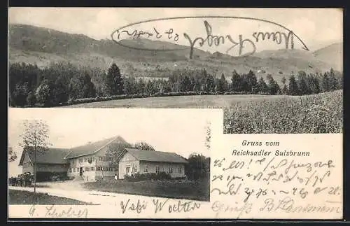 AK Sulzbrunn, Gasthaus Reichsadler mit Umgebung und Berg-Panorama