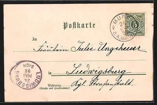 Lithographie Murr / Württemberg, Strasse, Hardtgericht, Partie an der Murr, Totalansicht