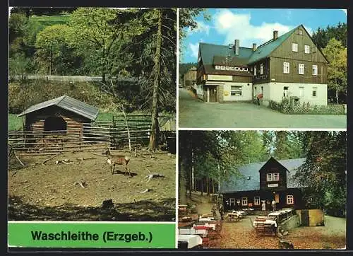 AK Waschleithe, Tierpark, Gaststätten Osterlamm und Köhlerhütte