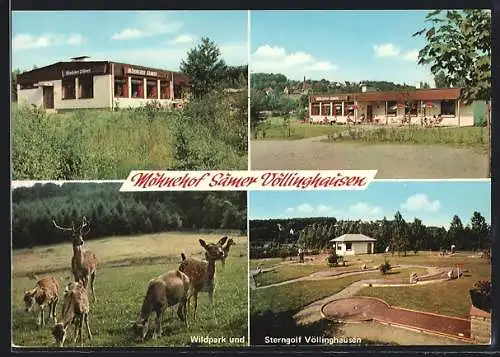 AK Möhnesee-Völlinghausen, Möhnehof Sämer mit Wildpark und Sterngolf