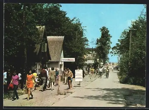 AK Prerow /Ostsee, Weg zum Strand