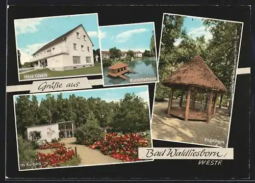 AK Bad Waldliesborn /Westf., Haus Gisela, Kurmittelhaus, im Kurpark, Vogelhaus