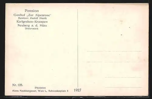 AK Karlgraben, Blick zum Gasthof Zur Alpenrose