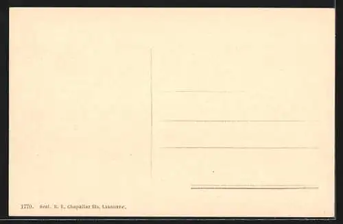 AK Nyon, Vue générale