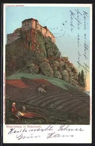 Künstler-AK Riegersburg, Blick zur Burg, Fasan