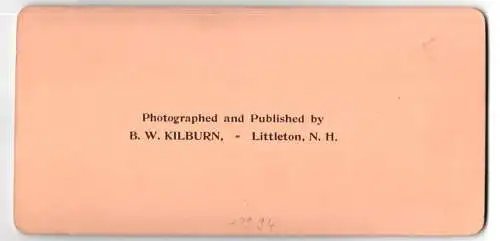 Stereo-Fotografie B. W. Kilburn, Littleton, Mutter mit weinender Tochter welche nicht ins Bett will, Mutterglück