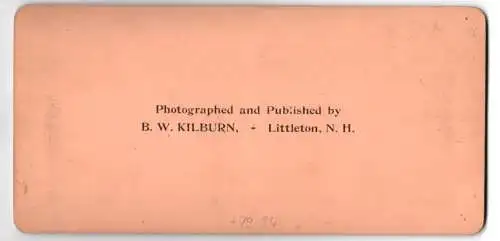 Stereo-Fotografie B. W. Kilburn, Littleton, Eltern mit ihren drei Kindern im Elternbett, Mutterglück