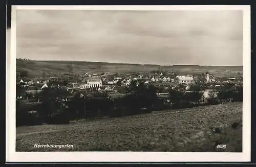 AK Herrnbaumgarten, Teilansicht mit Kirche