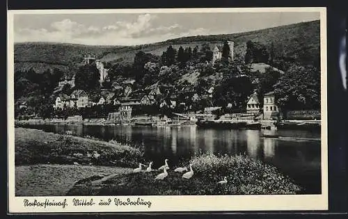 AK Neckarsteinach, Mittel- und Vorderburg