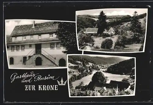 AK Eiterbach i. Odw., Gasthaus und Pension zur Krone, Ortspartie, Panorama