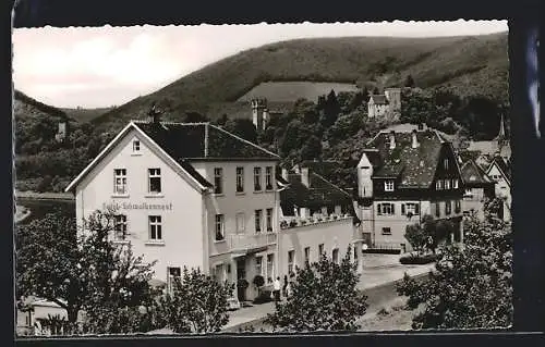 AK Neckarsteinach, Hotel Schwalbennest mit Umgebung