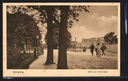 AK Schleswig, Strassenpartie am Herrenstall