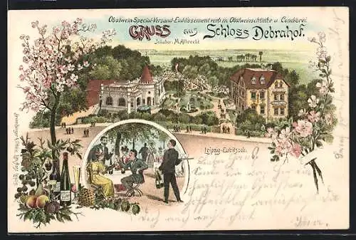 Lithographie Leipzig-Eutritzsch, Gasthaus und Obstwein-Spezial-Versand Schloss Debrahof, Garten