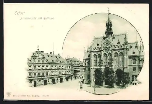 AK Erfurt, Fischmarkt mit Rathaus