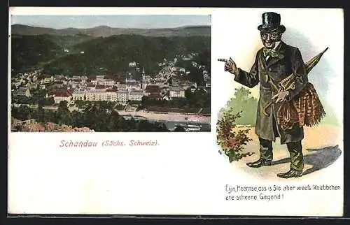 AK Schandau /Sa., Ortsansicht aus der Vogelschau, Sächsisches Original