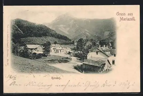 AK Mariazell, Kernhof