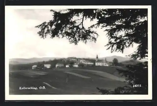 AK Kollerschlag, Panorama