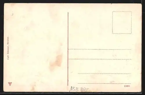 AK Breslau, neue Werderbrücke mit Universität