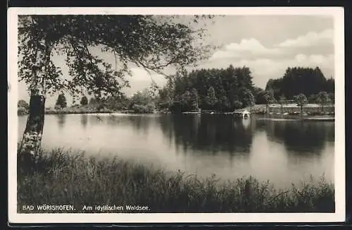 AK Bad Wörishofen, Uferpartie am idyllischen Waldsee