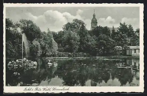 AK Suhl /Thür. Wald, Herrenteich