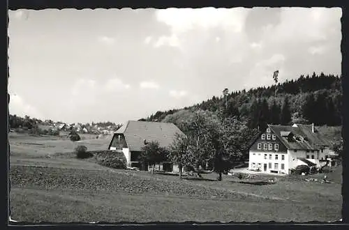 AK Seppenhofen /Schwarzwald, Gasthaus und Pension Linsimühle