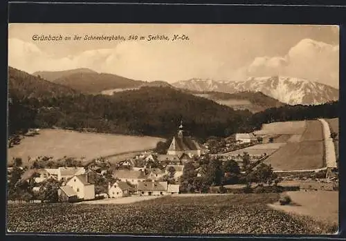AK Grünbach a. d. Schneebergbahn, Totale von der Bergwiese aus gesehen