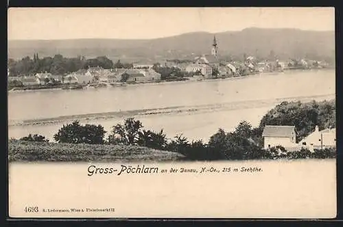 AK Gross-Pöchlarn a. d. Donau, Totale vom Donauufer aus gesehen