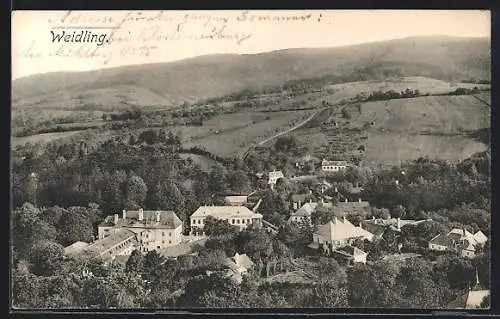 AK Weidling, Gesamtansicht mit Umgebung