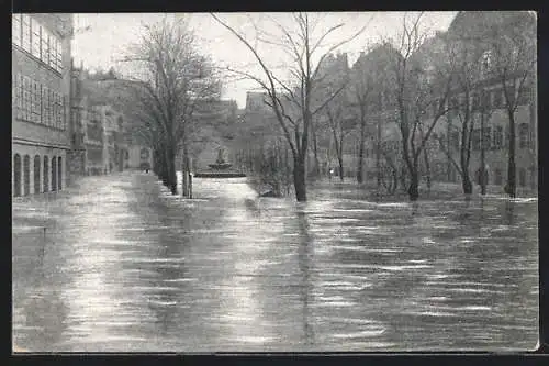 AK Nürnberg, Hochwasser-Katastrophe vom 05. Febr. 1909, Blick auf den Maxplatz