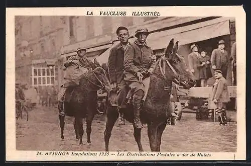 AK Avignon, Inondations 1935, les Distributes Postales à dos de Mulets