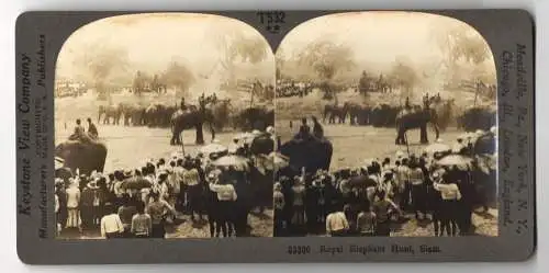 Stereo-Fotografie Keystone View Co., Meadville, Royal Elephant Hunt at Siam, Elephantenjagt in Indien