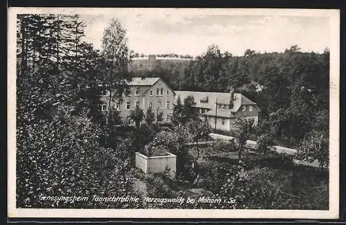 AK Herzogswalde bei Mohorn i. Sa., Genesungsheim Tännichtmühle