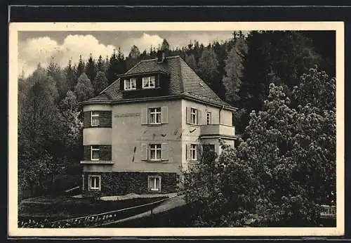 AK Bad Elster, Hotel-Haus Waldschlösschen, Besitzer Schmidt